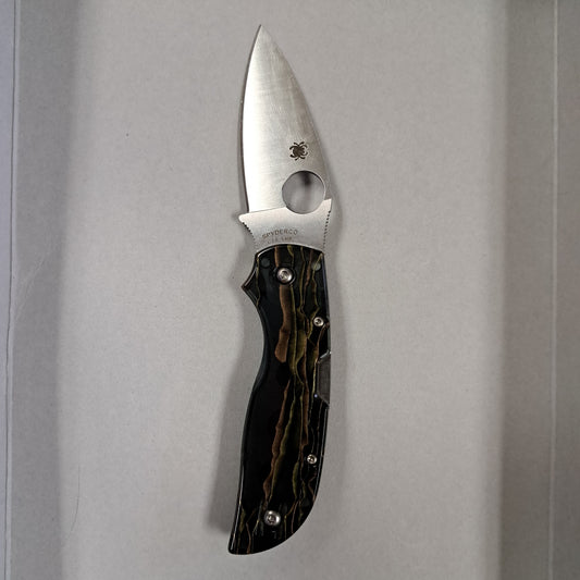 Spyderco Chaparral Raffir Noble Plainedge